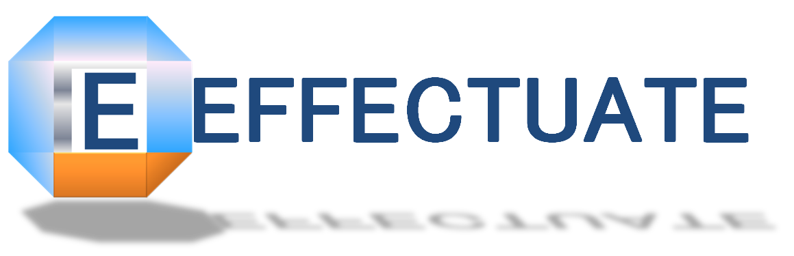 Functioneel Beheer Service